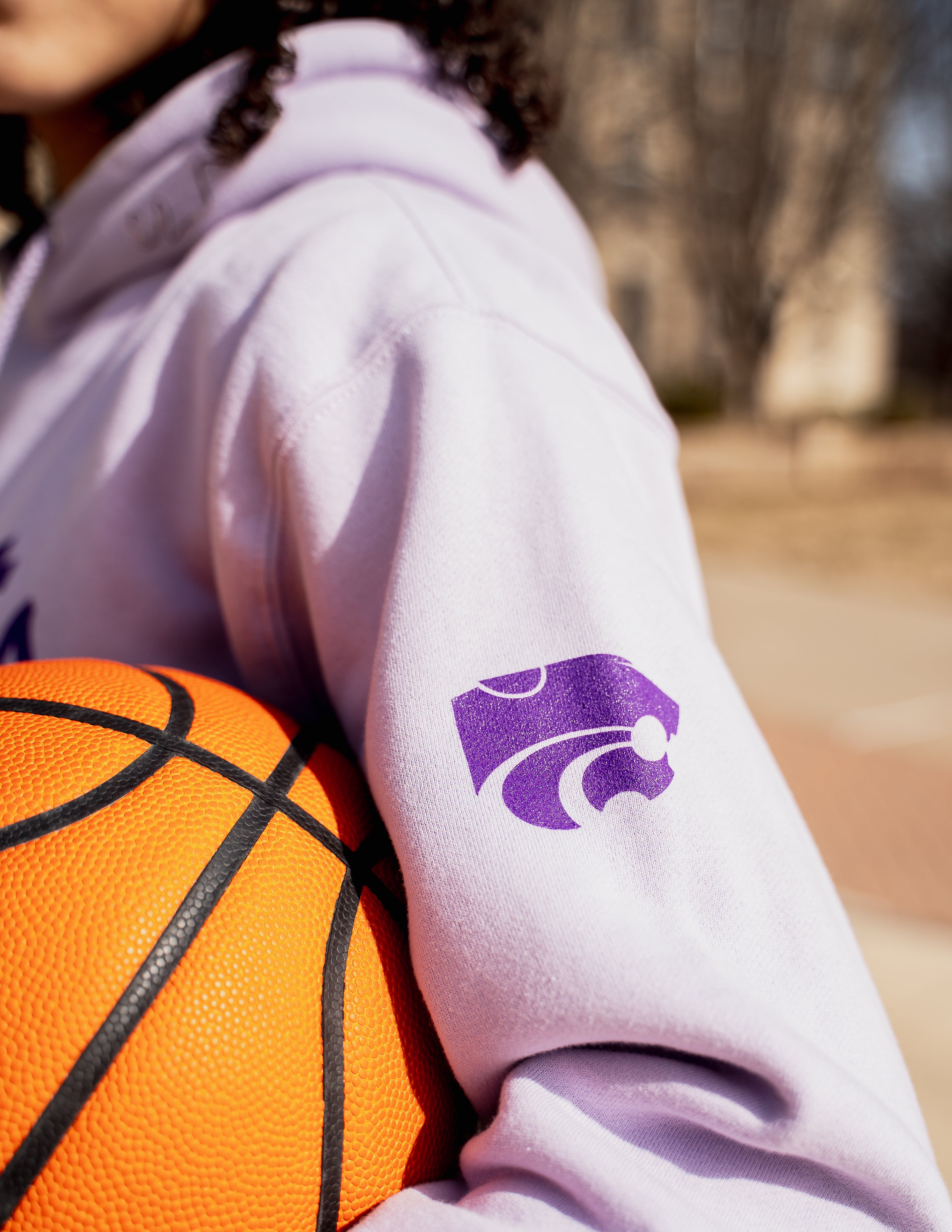 Wildcat champion hoodie deals